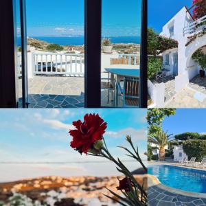 Bazén v ubytování Petali Village Hotel nebo v jeho okolí
