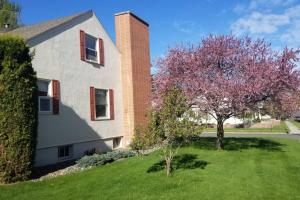 a house with a tree next to a building at Charming Home In Quiet Grangeville Neighborhood in Grangeville