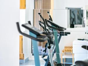 Fitness centrum a/nebo fitness zařízení v ubytování HOTEL DES DAUPHINS