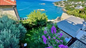 Φυσικό τοπίο κοντά σε αυτό το διαμέρισμα