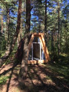 a small tent in the middle of a forest at Wind Hunters Surf Station in Sosnovyy Bor