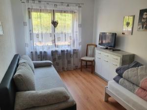 a living room with a couch and a tv at Säckingen 86 qm 3 Zimmer in Bad Säckingen