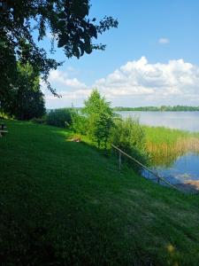a grassy field with a view of a lake at Agroturystyka u Basi śniadanie wliczone w cenie in Burniszki