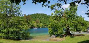 a view of a lake with a boat in the water at House Janja Plitvice in Seliste Dreznicko