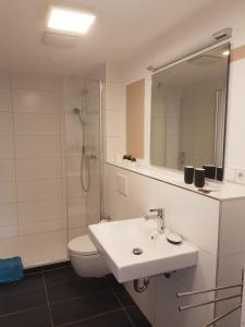 a bathroom with a sink and a shower and a toilet at Ferienhaus Anno 1903 in Weisenheim am Berg