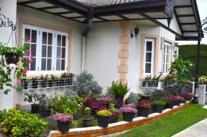 Taman di luar Cocoon Hills