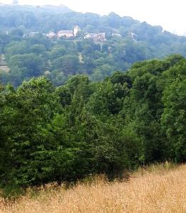 a forest of trees with a house in the background at La grange Loudervielle Louron Pyrénées in Loudenvielle