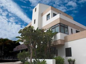 uma casa branca com uma palmeira em frente em Agua Viva by Umbral em Albufeira