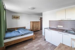 a small room with a bed and a kitchen at Ubytování Filipova Hora in Tlumačov