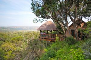 two people in a gazebo on a tree at Woodbury Lodge – Amakhala Game Reserve in Amakhala Game Reserve