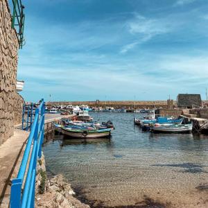 a group of boats are docked in a harbor at New Casa bluchic in Isola delle Femmine