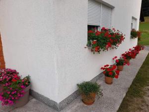 a row of flower pots on a wall with flowers at Rooms Danica in Donji Babin Potok