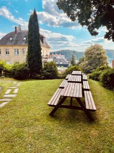 drewniany stół piknikowy siedzący w trawie w obiekcie Pension Family w Karlowych Warach