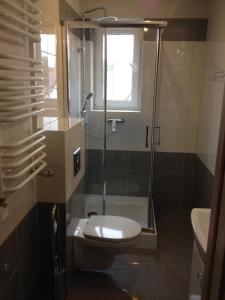 a bathroom with a toilet and a glass shower at Willa Na Skraju Puszczy in Zaścianki