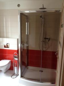 uma cabina de duche na casa de banho com WC em Willa Na Skraju Puszczy em Zaścianki