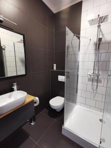 een badkamer met een douche, een toilet en een wastafel bij Restauracja ,,Biała Dama,, in Kórnik