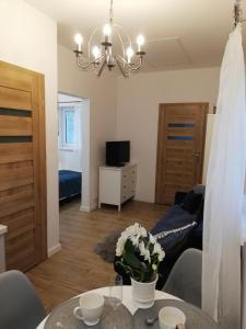 a living room with a couch and a table at Leśny Apartament II in Szczytno