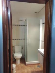a bathroom with a toilet and a glass shower at Room in Guest room - Casa El Cardon A2 Buenavista del Norte in Buenavista del Norte