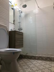 La salle de bains est pourvue de toilettes et d'une douche en verre. dans l'établissement Le Garçon de Sara-Simple,Cosy,Spatious Studio, à Bucarest