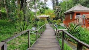 Gallery image of Room in Apartment - Ikogosi Warm Springs - Presidential Lodge in Ikogosi