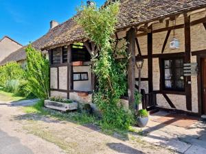 Ein altes Haus mit Efeu, der nebenbei wächst in der Unterkunft Gîte avec piscine 14 personnes in Gigny-sur-Saône