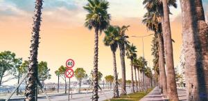 a row of palm trees on a road with a no parking sign at Appartamento lungomare Bianca in Vlorë