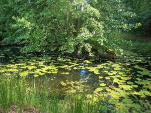 สวนหย่อมนอก 6 person holiday home in MARIESTAD