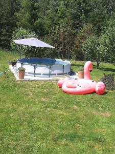 a inflatable pool and an umbrella in the grass at DOM w JARNOŁTOWIE in Otmuchów