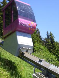 Fotografie z fotogalerie ubytování Lorli v destinaci Bettmeralp