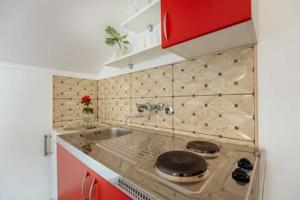 Η κουζίνα ή μικρή κουζίνα στο Apartmani Stefanovic +130 φωτογραφίες