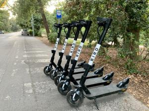 a row of golf clubs on the side of a road at Villa Luminosa in Torre del Lago Puccini