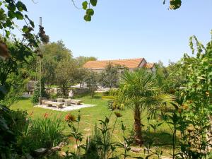 a garden with a palm tree and a building at Apartments and Rooms Minex in Trebinje