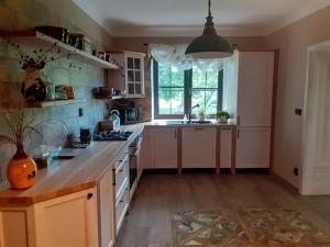 Kjøkken eller kjøkkenkrok på Apartmán v Podzámčí