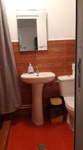 a bathroom with a sink and a toilet and a mirror at Casa Claudiu in Măgura