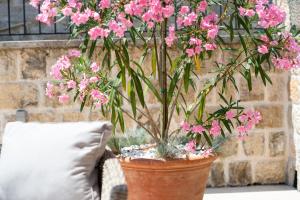 コトルにあるKatareo Apartmentsのギャラリーの写真