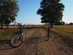 Jazda na bicykli v okolí ubytovania Agroturystyka Pod Orzechem