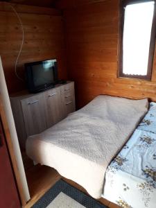 IMANJE JELEN في نيكشيتش: غرفة نوم صغيرة بها سرير وتلفزيون