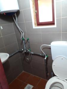 La salle de bains est pourvue d'une douche et de toilettes. dans l'établissement IMANJE JELEN, à Nikšić