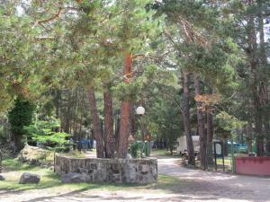Zahrada ubytování Camping Cobijo