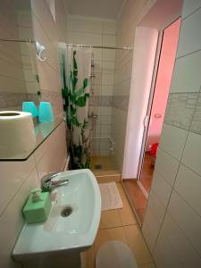 毛茛的住宿－公寓Ruzica旅館，一间带水槽和淋浴的浴室