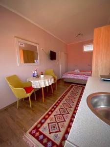 毛茛的住宿－公寓Ruzica旅館，客房设有水槽、桌子和床。