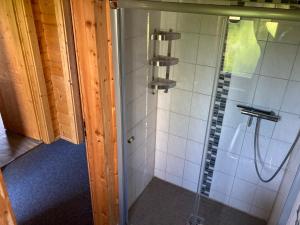 eine Dusche mit einer Glastür in einem Badezimmer in der Unterkunft Spreewaldhäuser Wiesner in Lübbenau + 37 Fotos