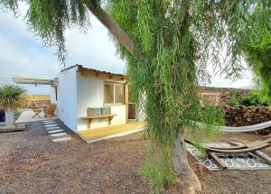 a small house with a tree in front of it at Casa Cocoloe Lajares in Lajares