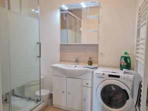 蒙泰夫蘭的住宿－Grand Appartement Dreams，一间带洗衣机和水槽的浴室