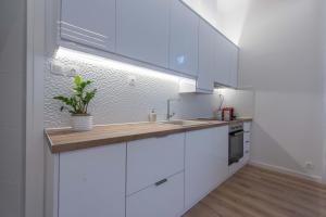 Kuchyň nebo kuchyňský kout v ubytování 1571_SUITES A1