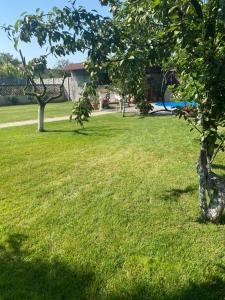 a green yard with trees and a swimming pool at Leisure House Hunedoara in Uroi