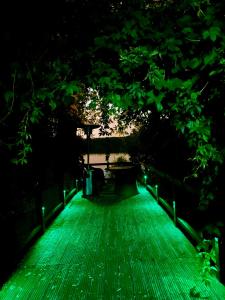 einen grünen Gehweg nachts mit grüner Beleuchtung in der Unterkunft WINNICA 34 nad Wisłą 1 in Toruń