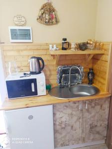 a kitchen counter with a sink and a microwave at Садиба У Надії in Guta