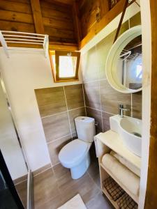 a bathroom with a toilet and a sink at Banana Cottage Ecolodge & Spa in Le Gosier