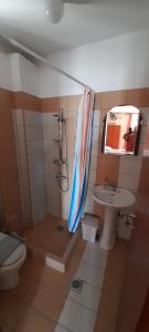 オリンピアキ・アクティにあるOlympic Studios Aslanidisのバスルーム(洗面台、トイレ、シャワー付)